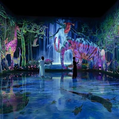 Tokyo: TeamLab Planets Admission & 24-Hour Subway Ticket