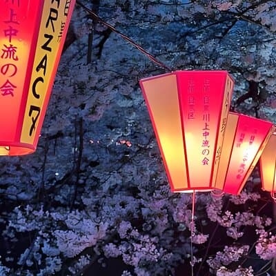 Tokyo: TeamLab Planets Admission & 24-Hour Subway Ticket 3