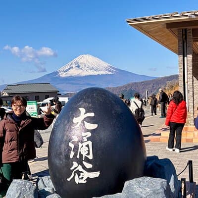 Hakone Onsen Private Day Trip from Tokyo by Car with Guide 4