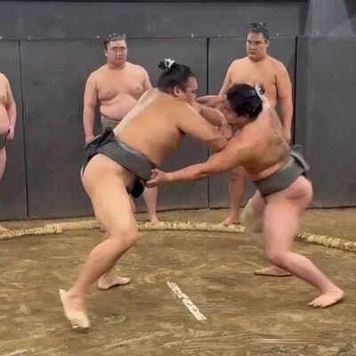 Tokyo: Authentic Sumo Morning Practice 3