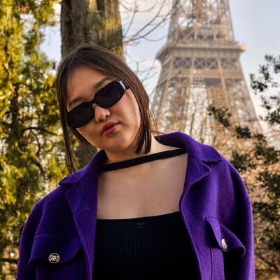 Private Paris Photo Experience by Van with Iconic Landmarks 2