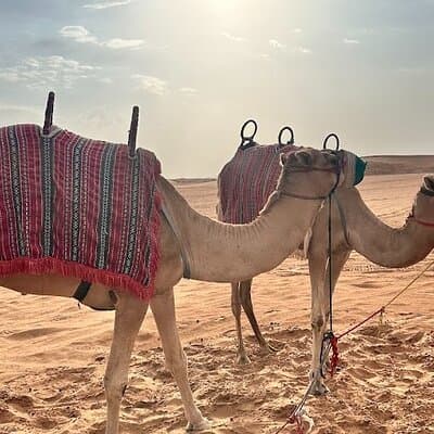Red Dunes Desert Safari with Dune Bashing and BBQ Dinner 3