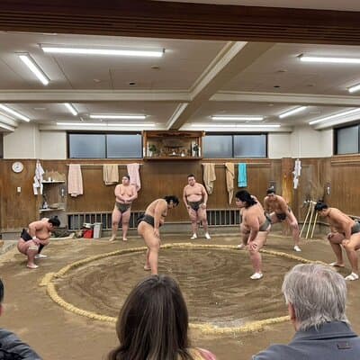 Tokyo Skytree Area: Sumo Morning Practice Stable Visit 2