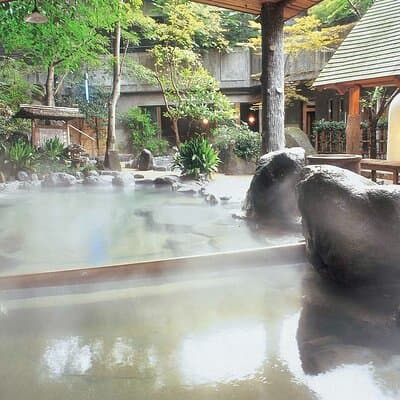 Hakone Onsen Private Day Trip from Tokyo by Car with Guide 2