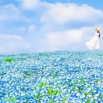 From Tokyo Adachi Night Wisteria & Ibaraki Pink Flowers Day Tour