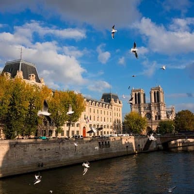 Paris Highlights Private Tour - All Paris in one day ! 4
