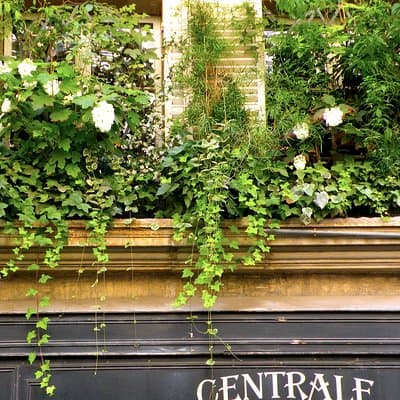 Private Tour of Saint Germain des Pres 2