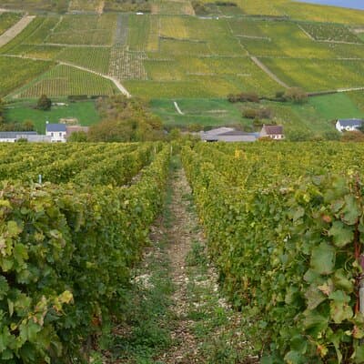 Paris Wine Day Tours exclusive wine tour in the Sancerre area 5