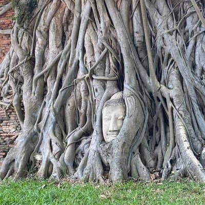 Private tour : A day in a life to visit Ayutthaya with authentic local lunch 4