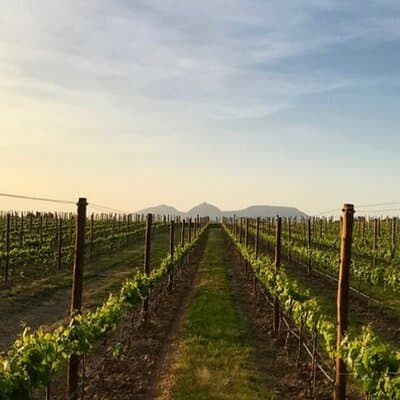 Costa Brava Coves Towns and Winery Private Tour 2