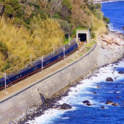 FromTokyo: Izu Scenic Oceanview Train, Volcano, Coast Day Trip 2