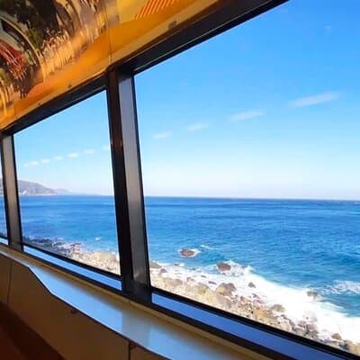 FromTokyo: Izu Scenic Oceanview Train, Volcano, Coast Day Trip 4