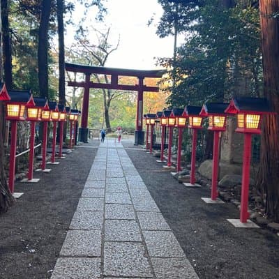 Kimono Dressing and Tea Ritual with Omiya Hachiman Shrine Walk 5