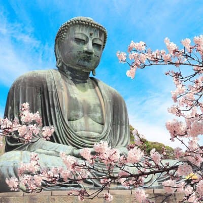 Kamakura, Enoshima & Yokohama 1-Day Bus Tour from Tokyo