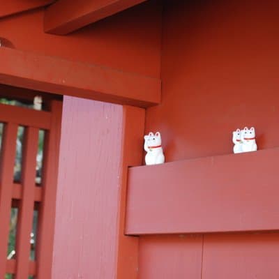 Tokyo: Gotokuji Culture Walk & Lucky Cat Temple Experience 2