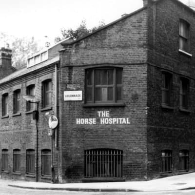 Bloomsbury Walking Tour: Hidden London & Georgian Shadows 4