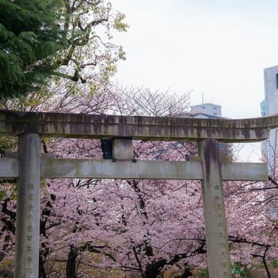 Tokyo Asakusa, Sensoji Temple and Skytree Walking Tour 3