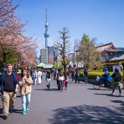 Tokyo Asakusa, Sensoji Temple and Skytree Walking Tour 4