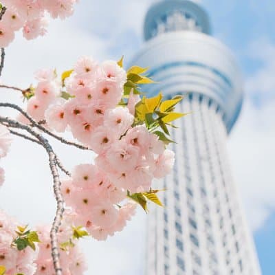 Tokyo Asakusa, Sensoji Temple and Skytree Walking Tour 2