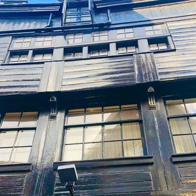 Walk Amsterdam with Groovy Tour with History Art and Culture 2