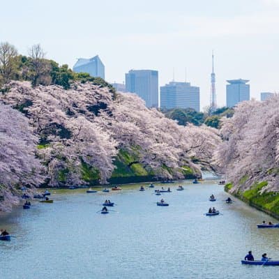 Tokyo War History Tour: Yasukuni Shrine & War Museum 3