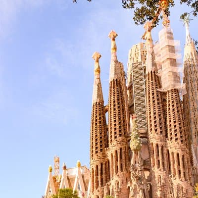 Private Barcelona Highlights Guided Tour with La Sagrada Familia