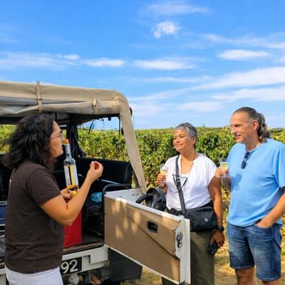 Winery, Tastings & 4x4 Vineyards Tour, Half Day Trip from Lisbon