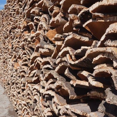 Historical Evora PRIVATE Full Day Tour | Cork, Wine and Olive Oil 5