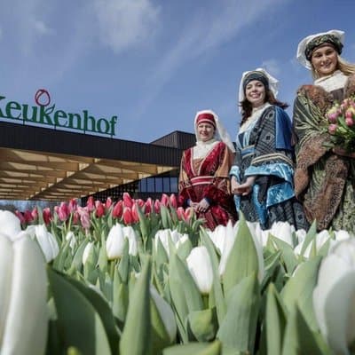 Guided Day Trip to Zaanse Schans and Keukenhof (small group)