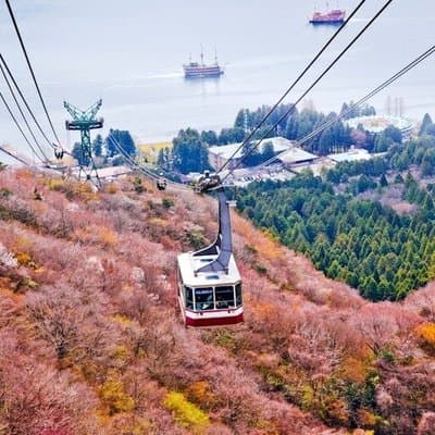 Hakone Private & Custom Day Tour with English Driver-guide 5