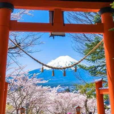 From Tokyo: Mt. Fuji 6 Attractions: Lake Kawaguchi, Oshino Hakkai 3