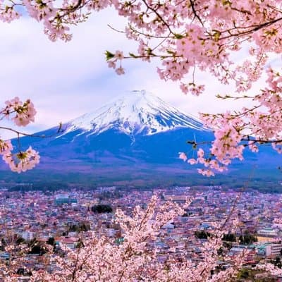From Tokyo: Mt. Fuji 6 Attractions: Lake Kawaguchi, Oshino Hakkai 5