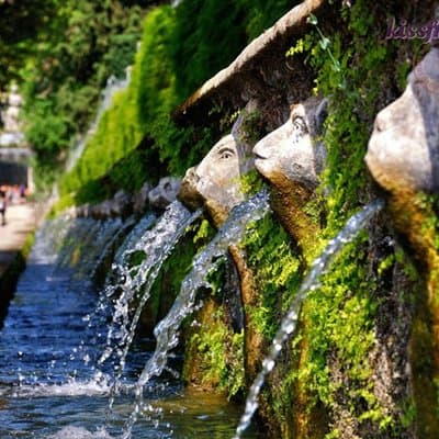 Private Tour: Tivoli Gardens and Countryside Experience from Rome 4