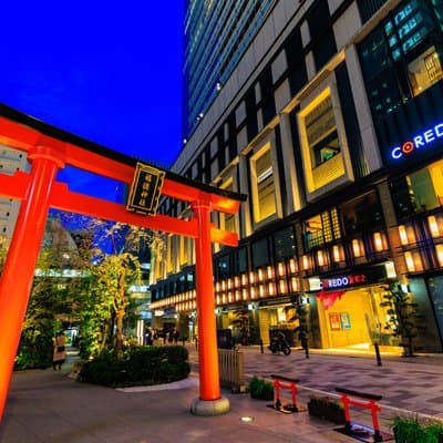 Tokyo Cherry Blossom Night Tour – Private Yozakura Experience 5