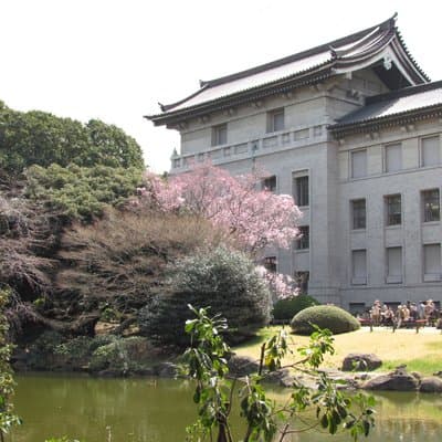 Ueno Park and Ameyoko Street Food Market Half Day Walking Tour 4