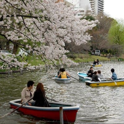 Ueno Park and Ameyoko Street Food Market Half Day Walking Tour 5