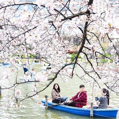 Ueno Park and Ameyoko Street Food Market Half Day Walking Tour