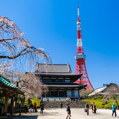 Tokyo Temples & Shrines Tour: Meiji Shrine, Asakusa & Zojoji 2