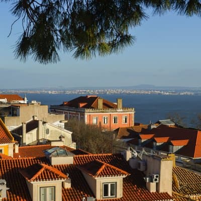 Lisbon Graca Dinner and Portuguese Wine Tour in Hidden Tascas 2