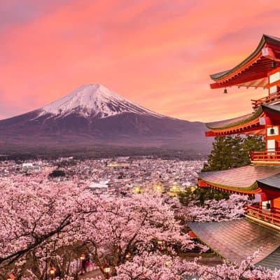 Mount Fuji Private Tour - Discover Magic of Japanās Iconic Mount 4