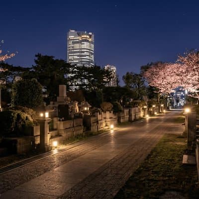 Tokyo : Ghost and Dark Tales, Urban Legends & Cemetery Night 3