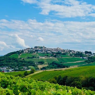 Paris Wine Day Tours exclusive wine tour in the Sancerre area