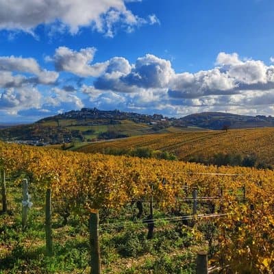 Paris Wine Day Tours exclusive wine tour in the Sancerre area 2