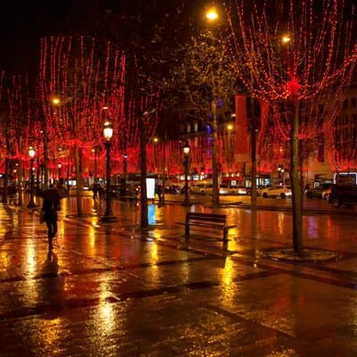 Paris Christmas Lights & Stories with Tastings on Champs-Élysées 5
