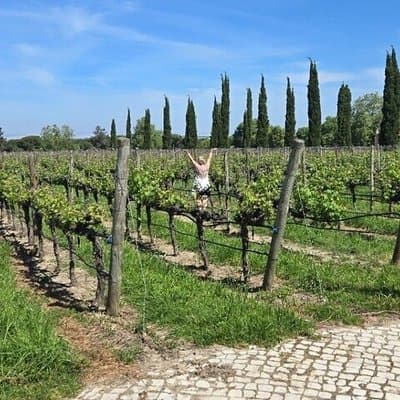 Lisbon to Azeidon Private Tour Prova - Regional Wines and Products 4