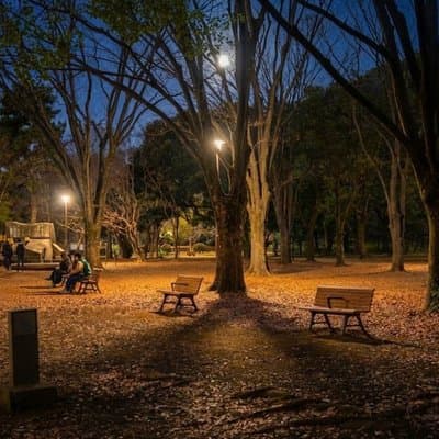 Tokyo : Ghost and Dark Tales, Urban Legends & Cemetery Night 4