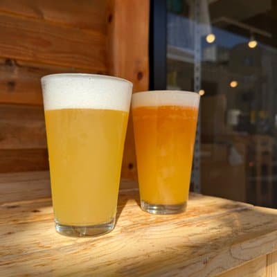 Samurai Guide Sho’s Craft Beer Train Tour by Former JR Conductor 5
