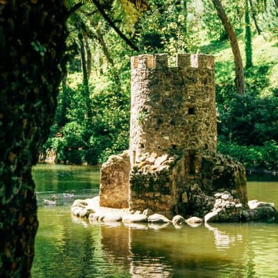 Sintra Private Half Day Tour With Pena Palace Tickets from Lisbon 3