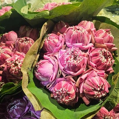 Golden Buddha Reclining Buddha and Marble Temple Private Tour 4