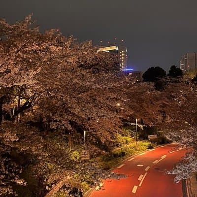 2-Hour Tokyo Night Bike Tour: Shibuya, City Lights & Tokyo Tower 3